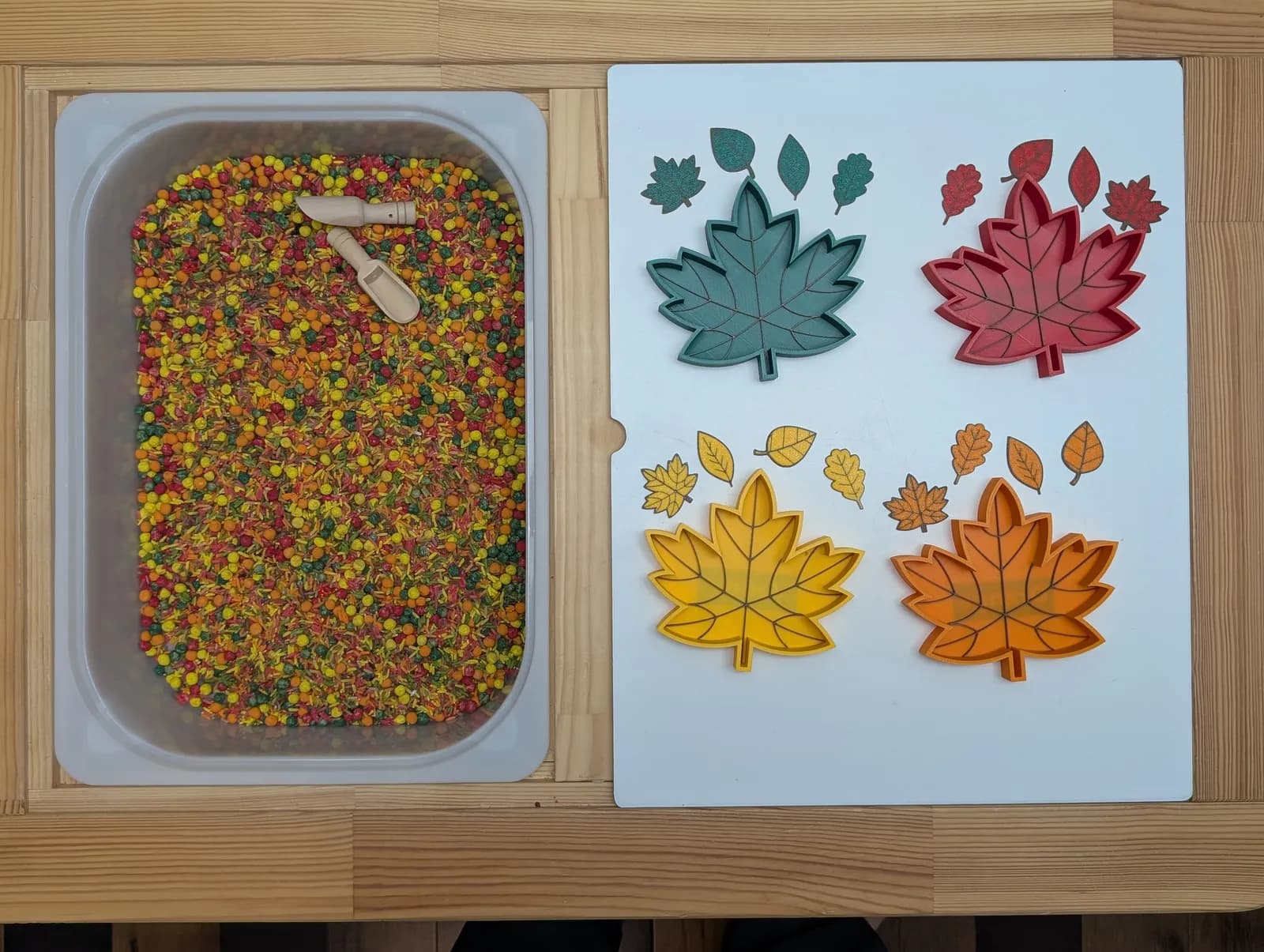 Feuilles d'érable