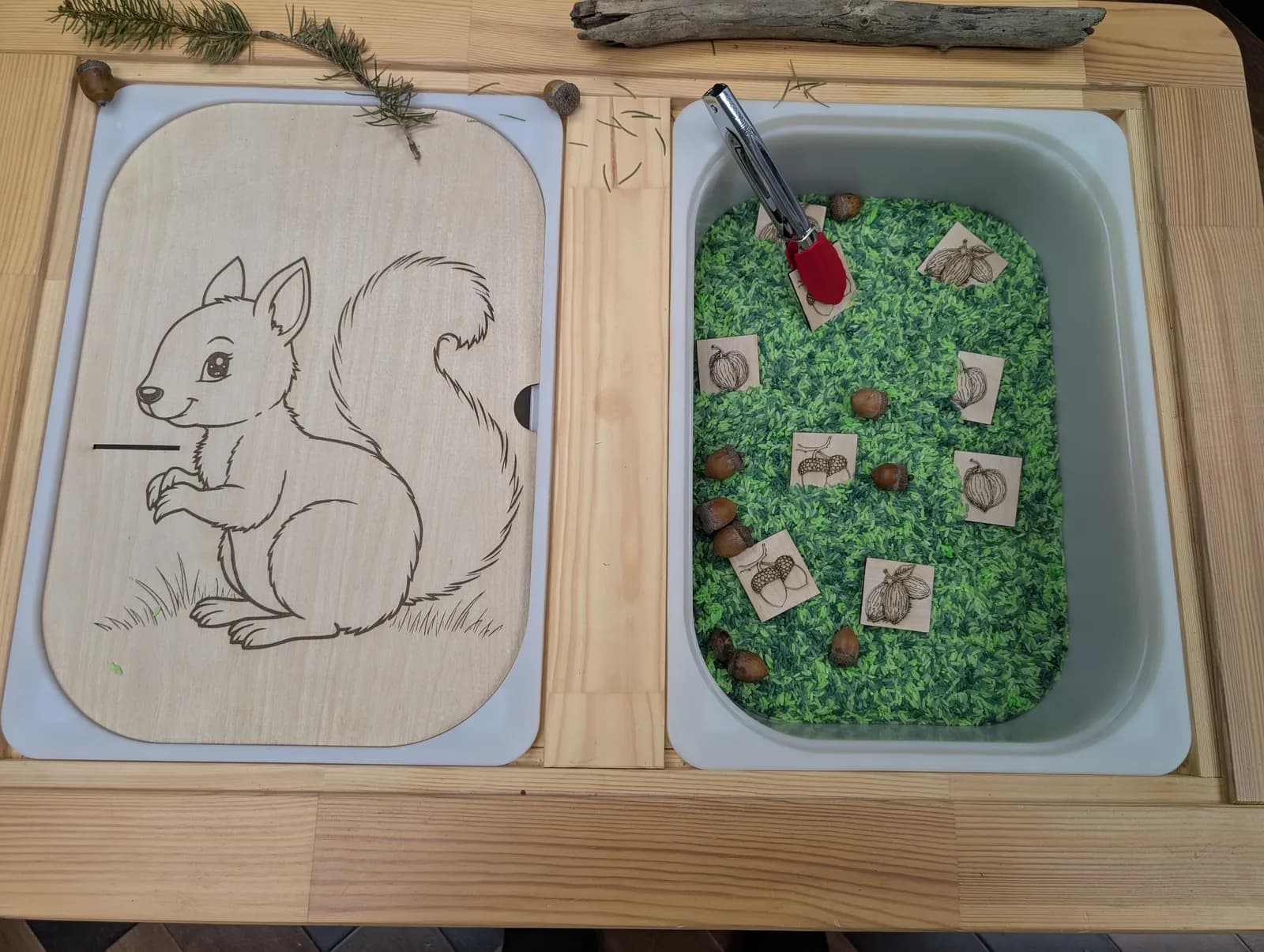 Planche Écureuil